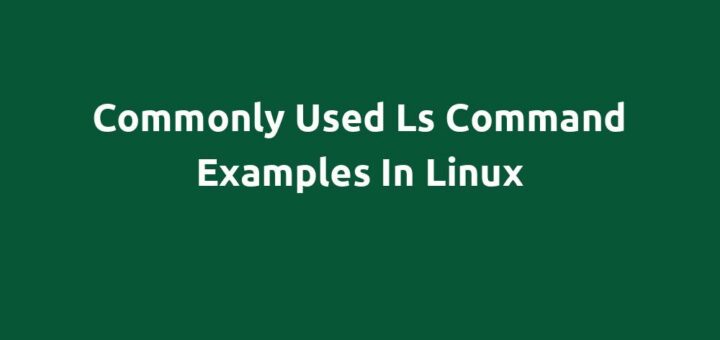 Commonly Used ls Command Examples in Linux