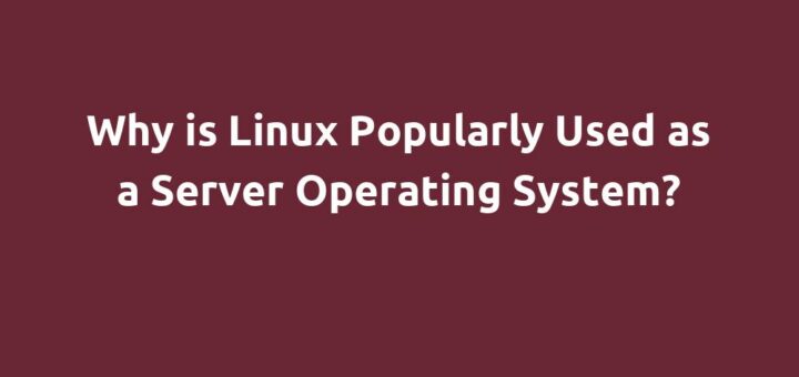 Why is Linux Popularly Used as a Server Operating System?